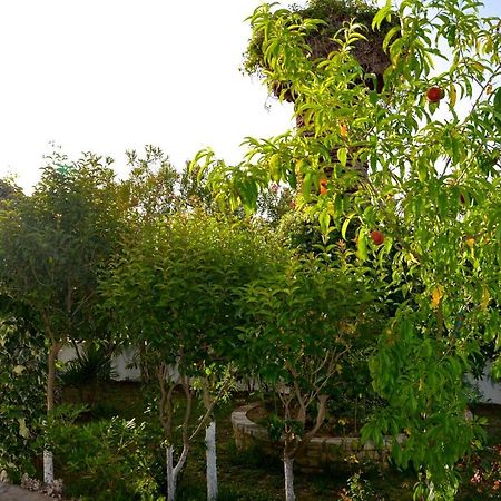 ロダKostas' Gardenアパートメント エクステリア 写真