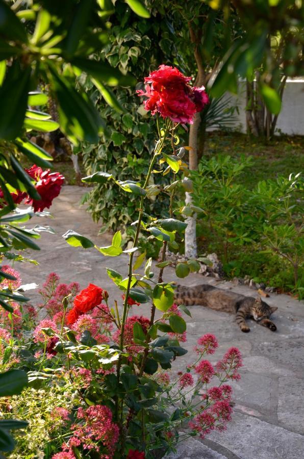 ロダKostas' Gardenアパートメント エクステリア 写真