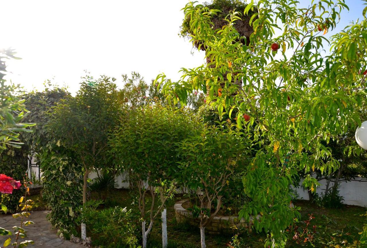 ロダKostas' Gardenアパートメント エクステリア 写真